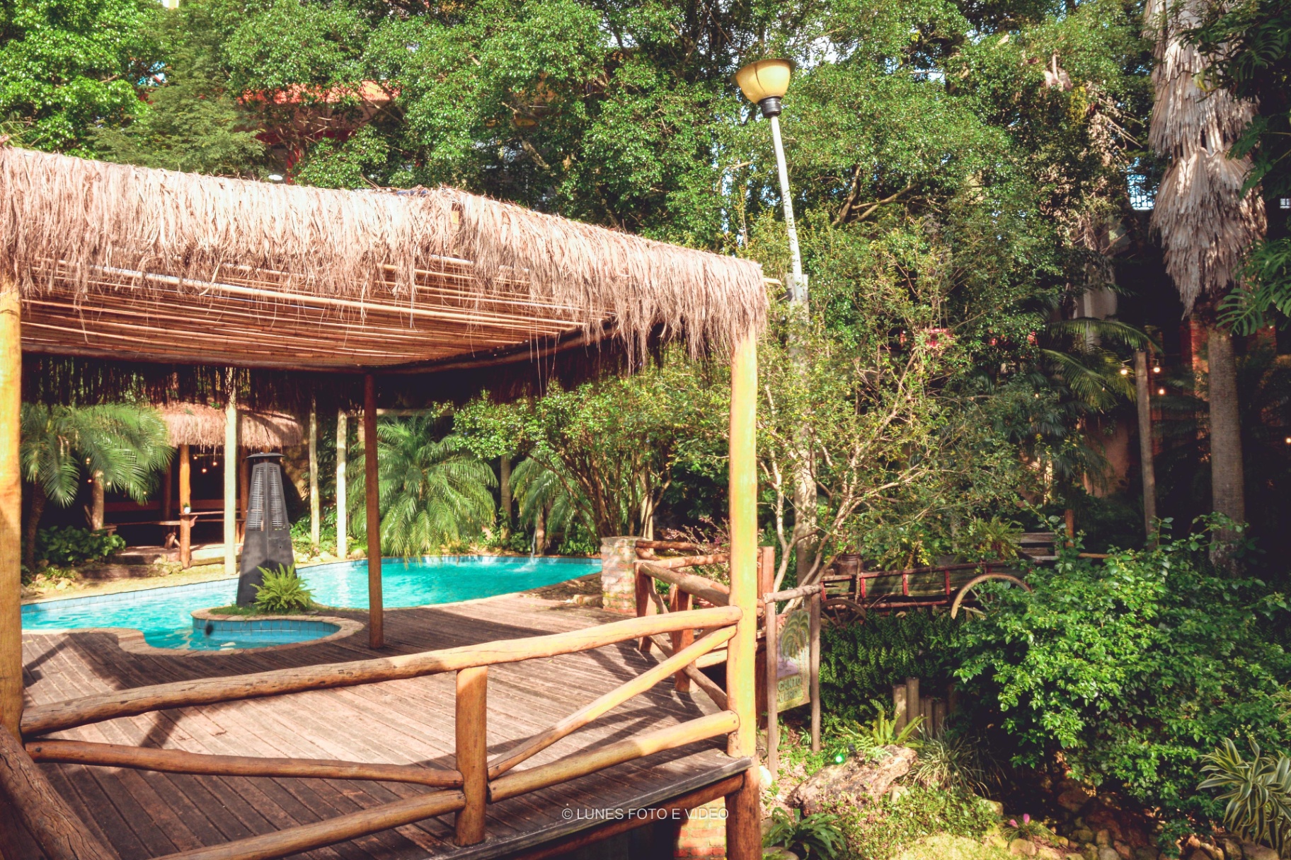 Canto Verde — floresta ao amanhecer